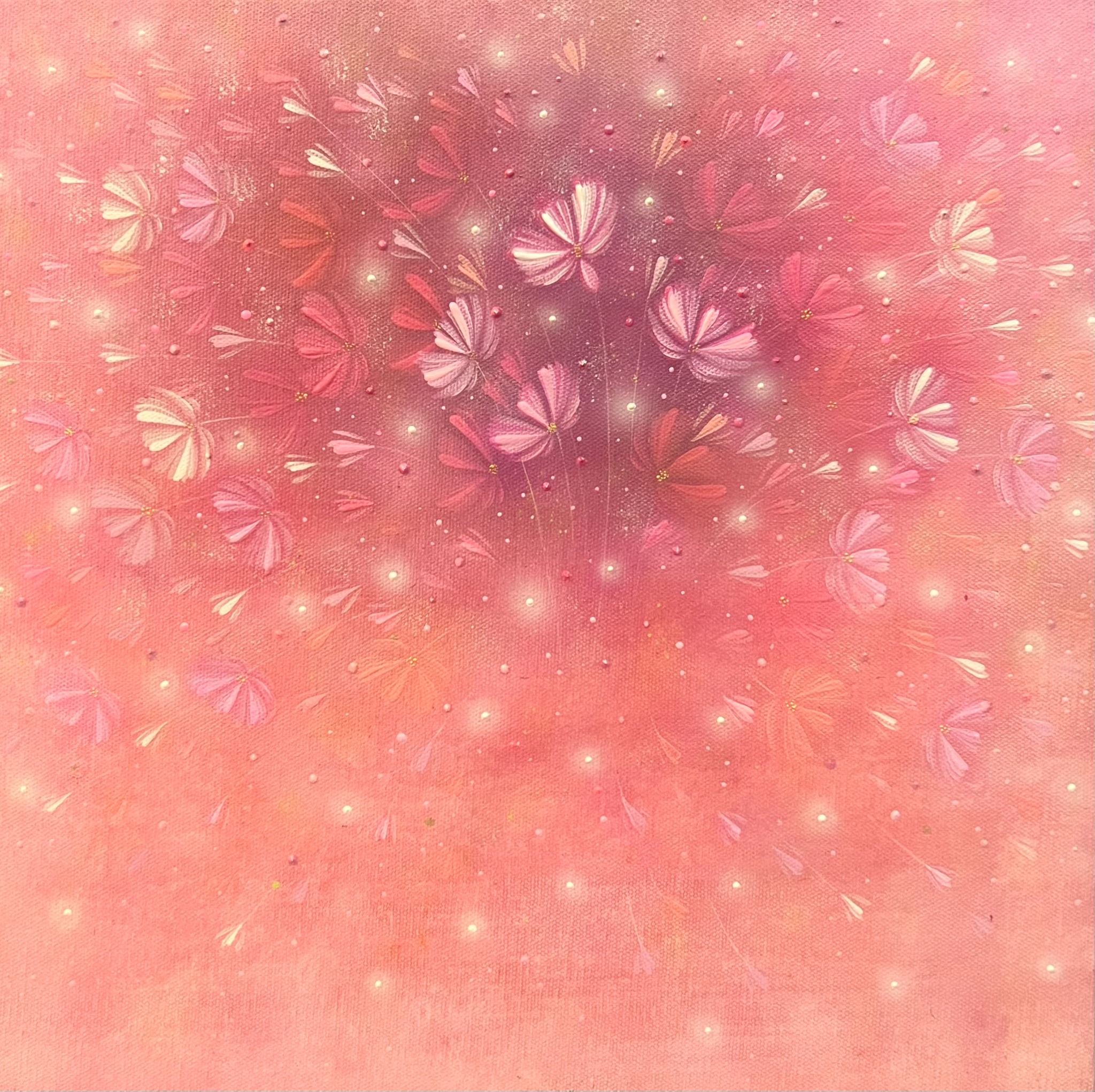陽花
